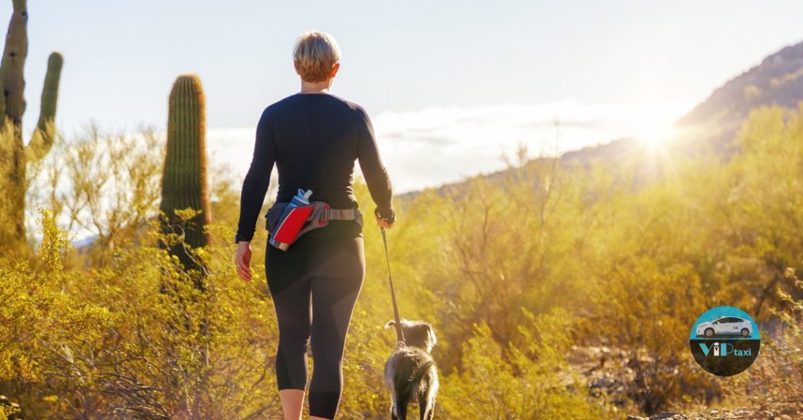 Spring Activities to do in Metro Phoenix 2024