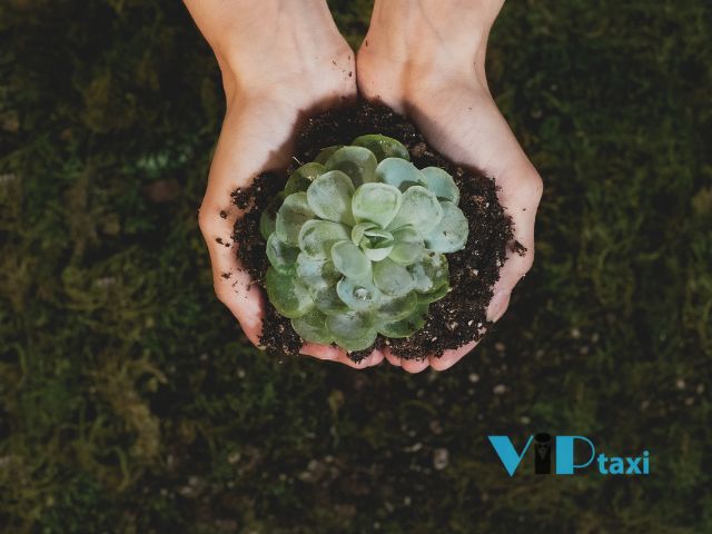 phoenix-desert-botanical-garden-planting-earth-day-activity Visiting the Phoenix Desert Botanical Garden as an Arizona Earth Day Activity